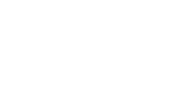 The Digital Stronghold White Logo